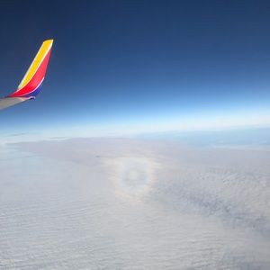 Meet your Posher, Eliza